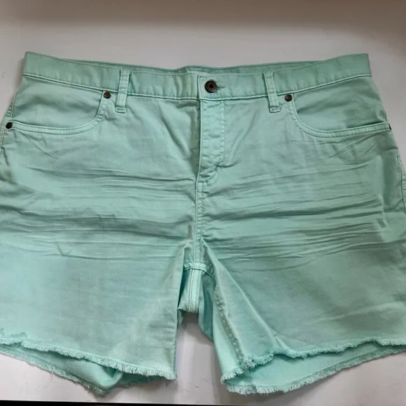 Carve Designs 6” Twill Shorts -Sea Glass - Picture 3 of 8